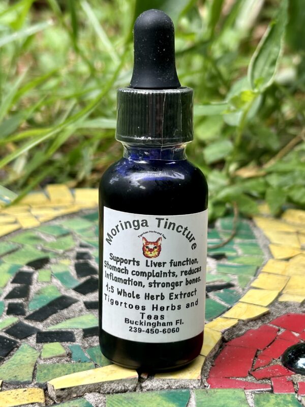 Moringa Herbal Tincture, 2 oz